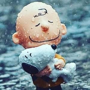 Meet your Posher, Warren